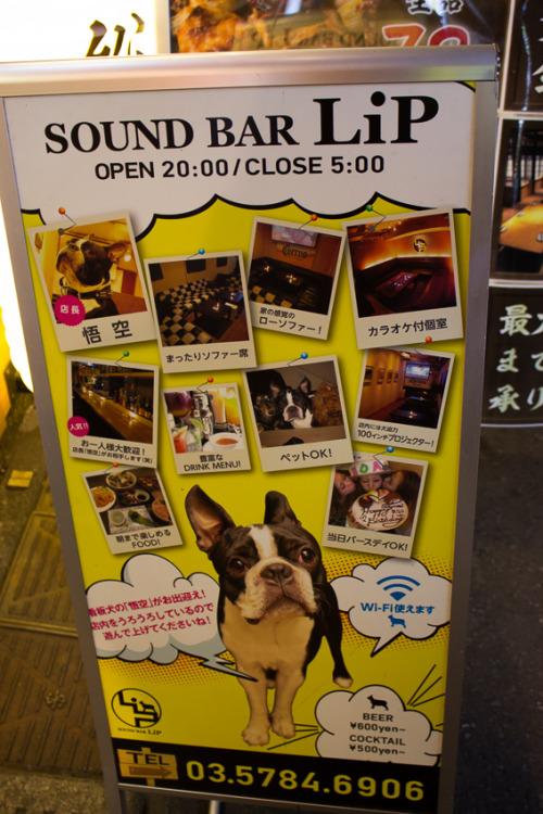 Nightlife in Dogenzaka, Shibuya. We saw tons of drunk businessmen and younger people hanging out dri