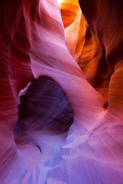 dranilj1:  Canyon Arch by Steven Davis Photography on Flickr.