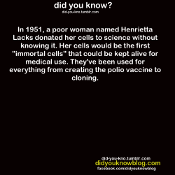 snuggly-duckling:  bendelsohnstuff:  did-you-kno:  Source  Yoooooooo look up the story of Henrietta Lax and her cells because it is absolutely terrifying. She was essentially killed by a one of a kind form of cancer that to my knowledge had never been