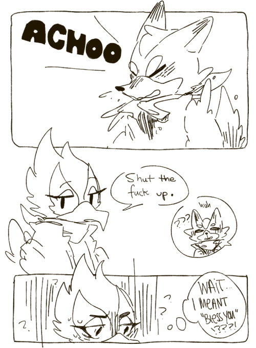 melofrio: falco, what the heck 
