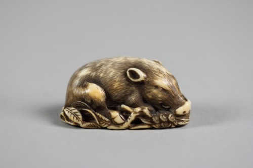 met-asian: 猪牙彫根付|Boar by Tomotada, Metropolitan Museum of Art: Asian ArtBequest of Stephen Whitney P