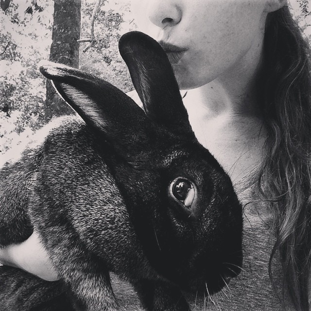 Mr.Tumnus went to a new home today. Everybody say “bye T!” Thanks for all the insta-moments you gave us. He has new parents now- real bunny lovers, who lost their last rabbit to a bunny health problem. He’s like the “giving bunny”. He helped me...