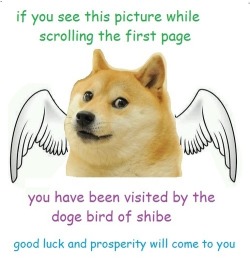 suchdoge:  prosperity wow :^) 