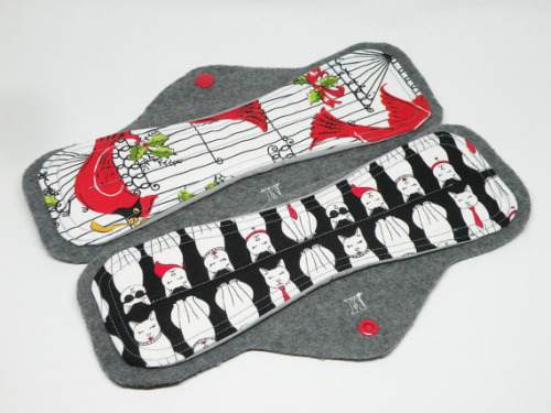 Moderate Cloth Pad Setfrom EtherealPads