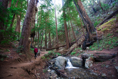 BIG SUR ADVENTURE: WINTER Our cousin flew in from NYC to go on a classic California Adventure so my 