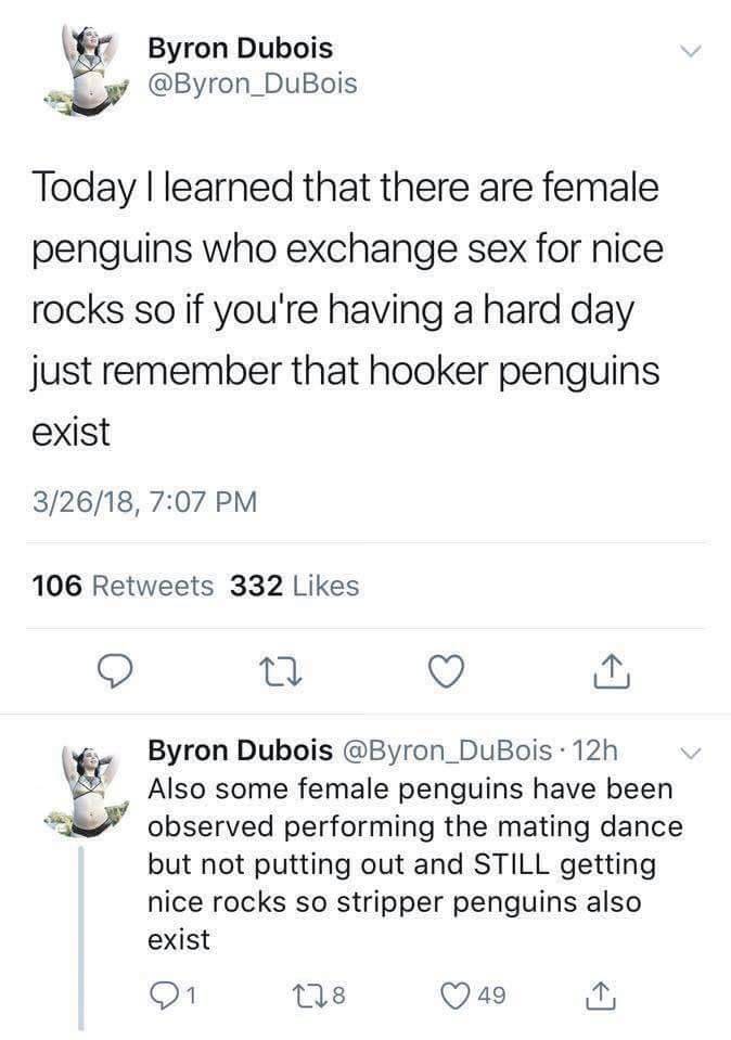 🤣🤣🤣 @redmachasacorns 🤣🤣🤣