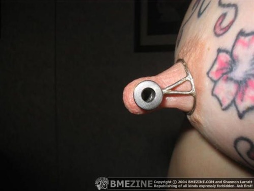 da fangen big gauge piercings an! sieht gut aus. Wie lange brauch mann dafür bei 3mm angefangen? Ich möchte meine Stute überraschen und für den Sommer herrichten, klappt das?
