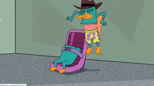 Porn photo Perry the Platypus from Phineas and Ferb