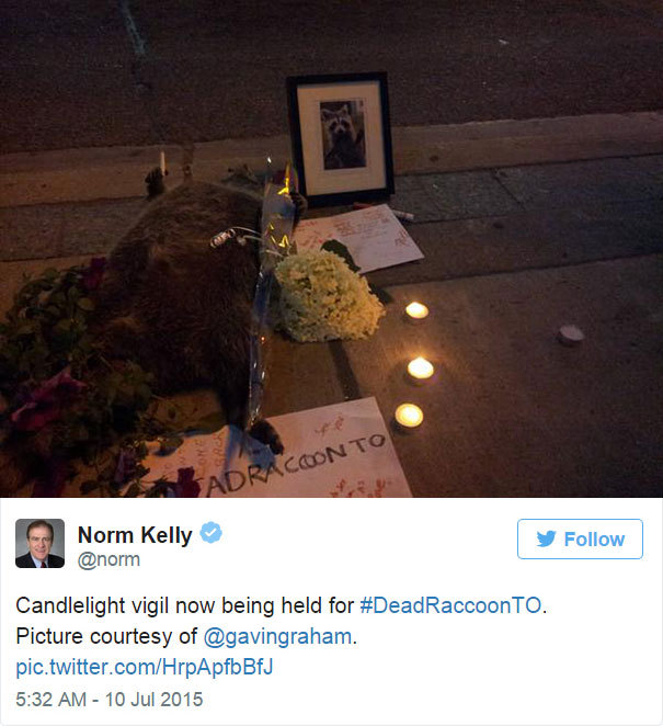 2jam4u:  becausedragonage:  thewightknight:  People in Toronto made a memorial for