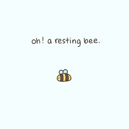 chibird: Be kind to any resting bees you find. ♡ They will appreciate it very much and bless you lat