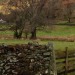 enchantedengland:  Langdale farm, Cumbria (@jenniedeehill on IG)