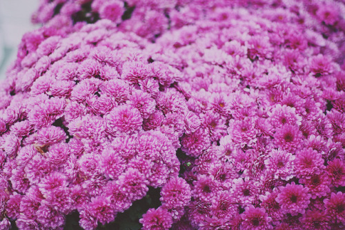 greekg0ds:   by Hanna Thevik       