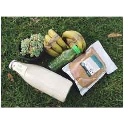 A fraction of today’s organic + raw market purchases {bananas, coconut sugar, green juice, almond milk, a new succulent + 100% fruit roll ups, sprouted ‘Dahl’, cos lettuce, pesto} ☀️