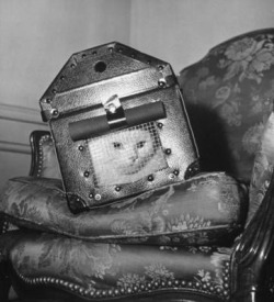 English Cat In Reinforced Carrier During Wwii - His Own Personal Bomb Shelter. Clearly