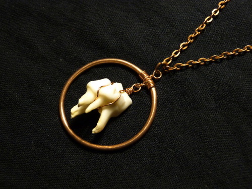 There is one new wire-wrapped tooth and chunky copper hoop necklace now available in The Journeytree