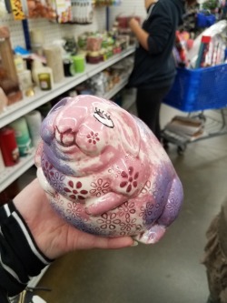 lifeofapottedplant:  thriftstoreoddities: The morbidly obese bunny from my work. Ladies and gentlemen: my patronus