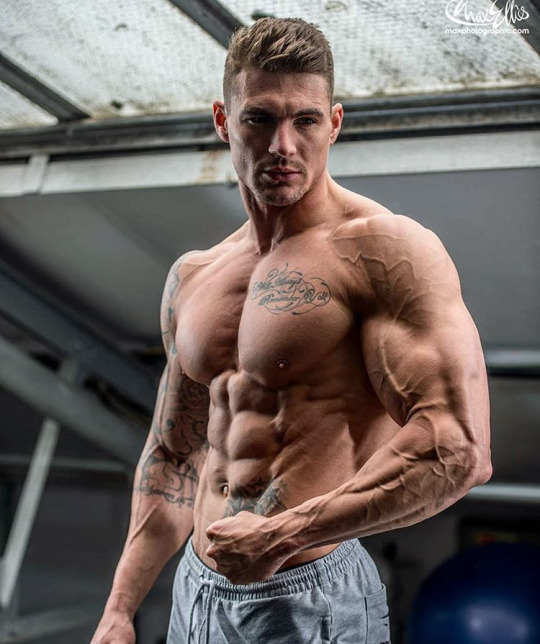 frickssexywrestling:  MUSCLE MODEL PROFILE - ROSS DICKERSONRoss Dickerson is not
