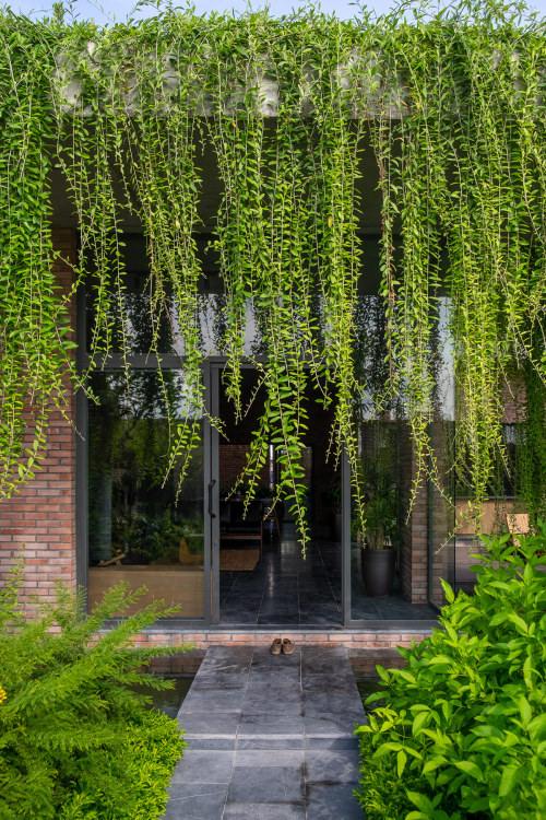 The Green Curtain House In Vietnam