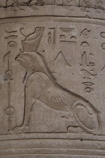 grandegyptianmuseum:Relief of HorusRelief depicting a falcon-headed sphinx. Temple of Horus at Edfu,