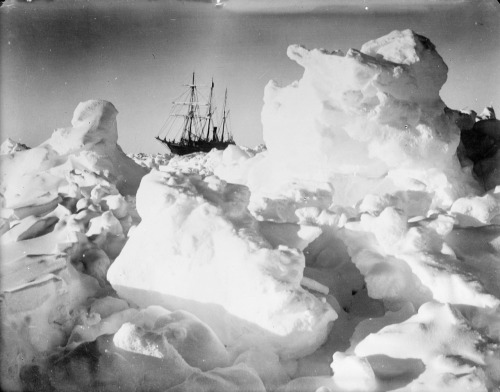 historicaltimes:Sir Ernest Shackleton’s Trans-Antarctic exploration vessel ‘Endurance&rs