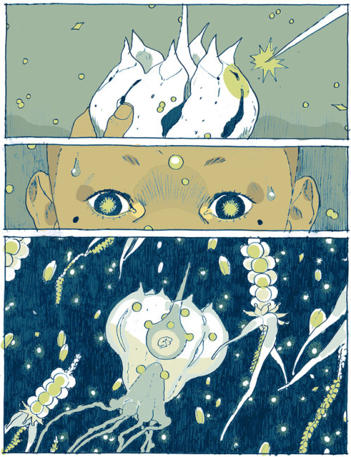peowstudio:We have two of our spring titles up for pre-ordering at www.peowstudio.comStages of Rot b