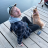 van-eazy:logblog:I want someone to crush me İ got you fam