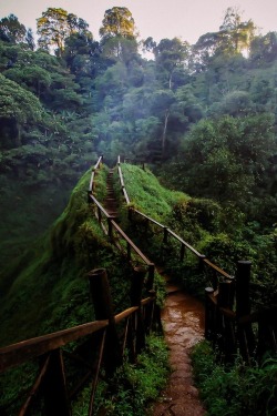 0Rient-Express:  Freshy Walkway | By Pirakorn Nudol.