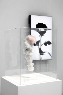 pylore:  Tokujin Yoshioka - Crystallized Project exhibition at Maison &amp; Objet, Paris (2012)  