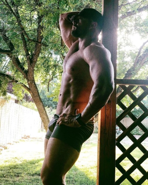 beltspanker:  Trace.trainer