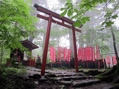 We found a secluded shrine in the mountains. Even uncle Google didn’t know it existed. Mist, cicadas