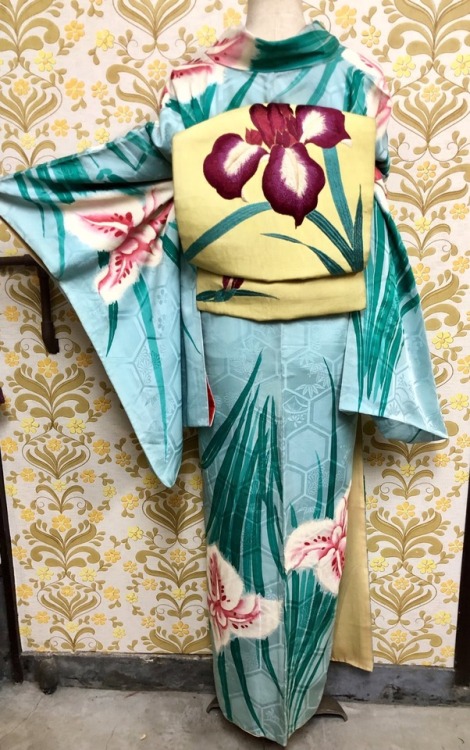 tanuki-kimono:Impressive iris fields, vintage outfit seen on