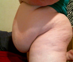 fatsupremacist:  belly hang/ass shelf/chubby