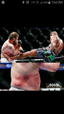 mma&ndash;scorpion:  Body damage from Overeem to Roy!