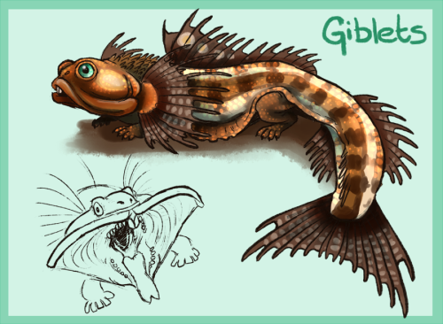 This is Giblets.Giblets is a unique and very special creature.She is a Porcufringemander and was cre