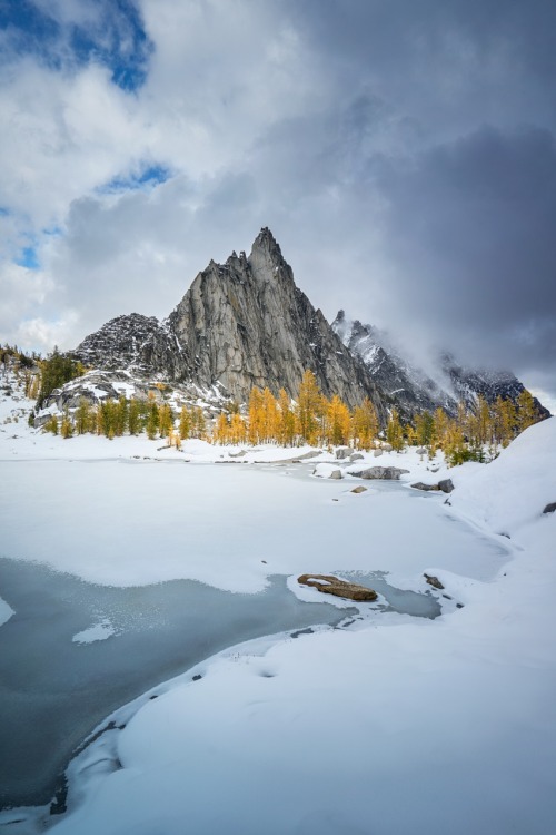 Larch Season . Complete first set of my Enchantments work from October 2019. A variety of my favorit