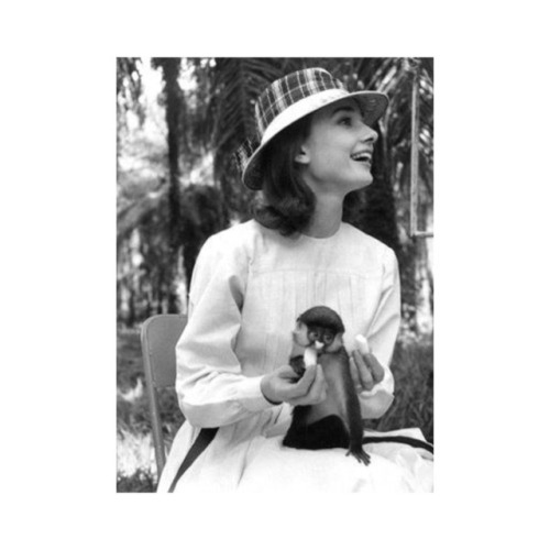 Audrey Hepburn in Africa 1958, filming The Nun’s Story.