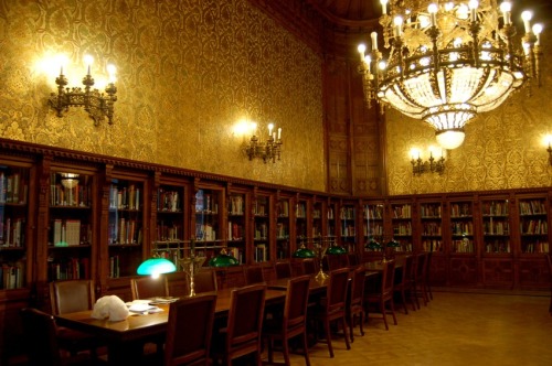 nevver:  la Bibliothèque