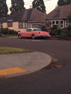 kitty-batass:  The other day I was driving around Portland seen this had to take a pic, considering Pink is growing on me 😸 