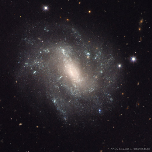 fyeahastropics: The Supernova and Cepheids of Spiral Galaxy UGC 9391 (via APOD; Image Credit: NASA, 