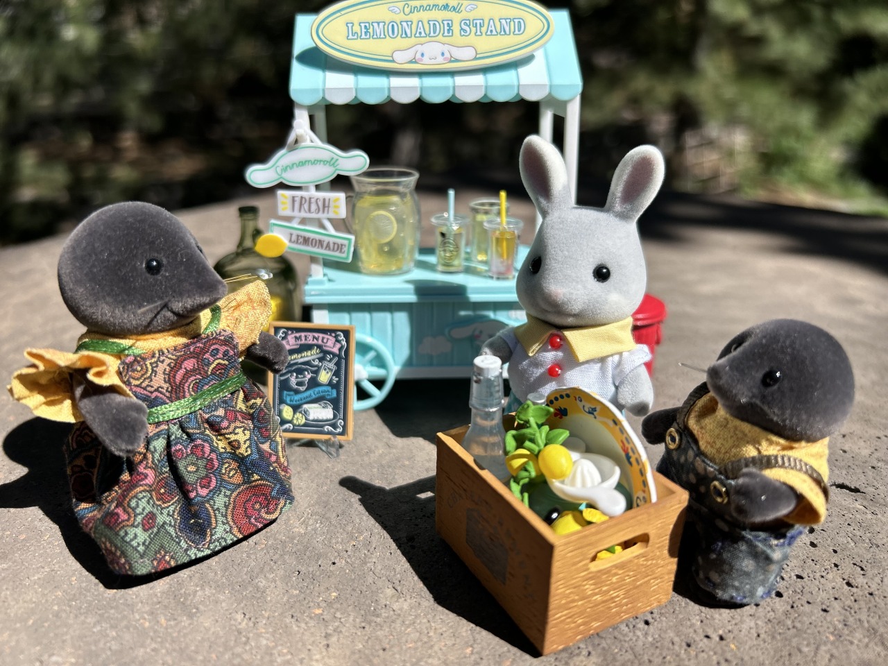 On a adopté des Sylvanian Families !