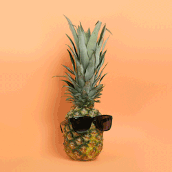 Qilonyc:  Join The Pineapple Wave At Qilonyc.com 