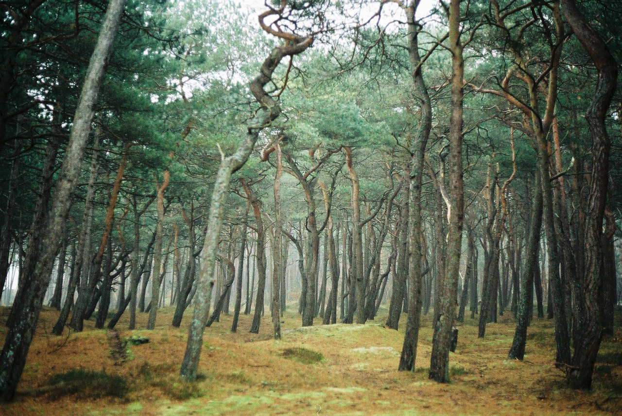 zarianka: some greens  and blues. 