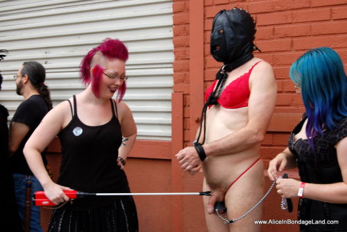 mistressaliceinbondageland:  Folsom Street Fair was super intense this year with a huge public ball busting and cattle prod humiliation scene! See the incredible public punishment video at http://www.aliceinbondageland.com   I love Folsom Street Fair