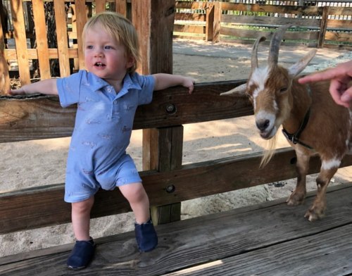 A couple of silly billies #prairiepup #14monthsold (at Sedgwick County Zoo) www.instagram.co