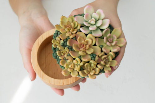 starshine813: toonskribblez: wordsnquotes: Stunning Ring Boxes Look Like Real Life Lush Succulent Pl