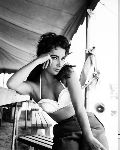 Elizabeth Taylor photographed by Sid Avery on the set of Giant, 1955. 