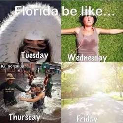 LOL Florida