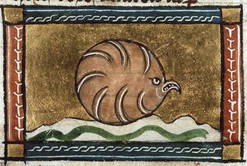 angry oysterJacob van Maerlant, Der Naturen Bloeme, Flanders ca. 1350Den Haag, Koninklijke Bibliothe
