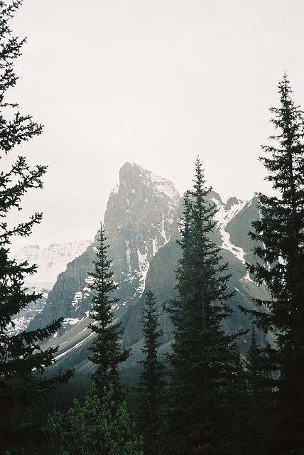 covered-with-mist:  http://covered-with-mist.tumblr.com/ 
