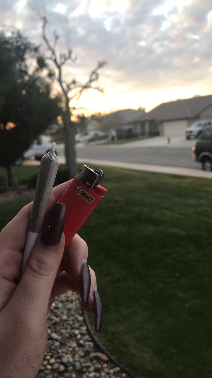 stonerzoey:  a nice day to smoke a j